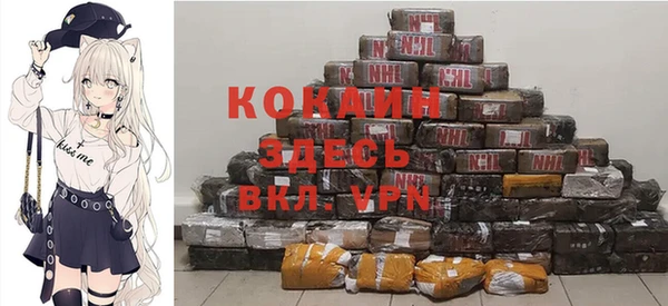 индика Рославль