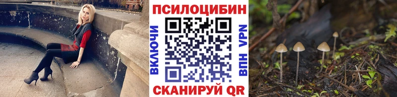 закладки  Набережные Челны  Псилоцибиновые грибы GOLDEN TEACHER 