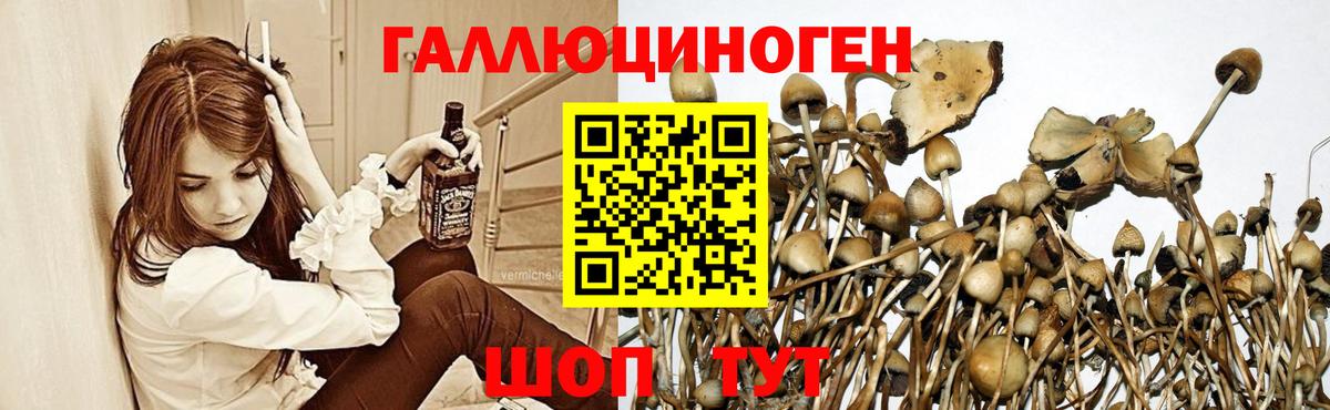 Галлюциногенные грибы MAGIC MUSHROOMS Набережные Челны